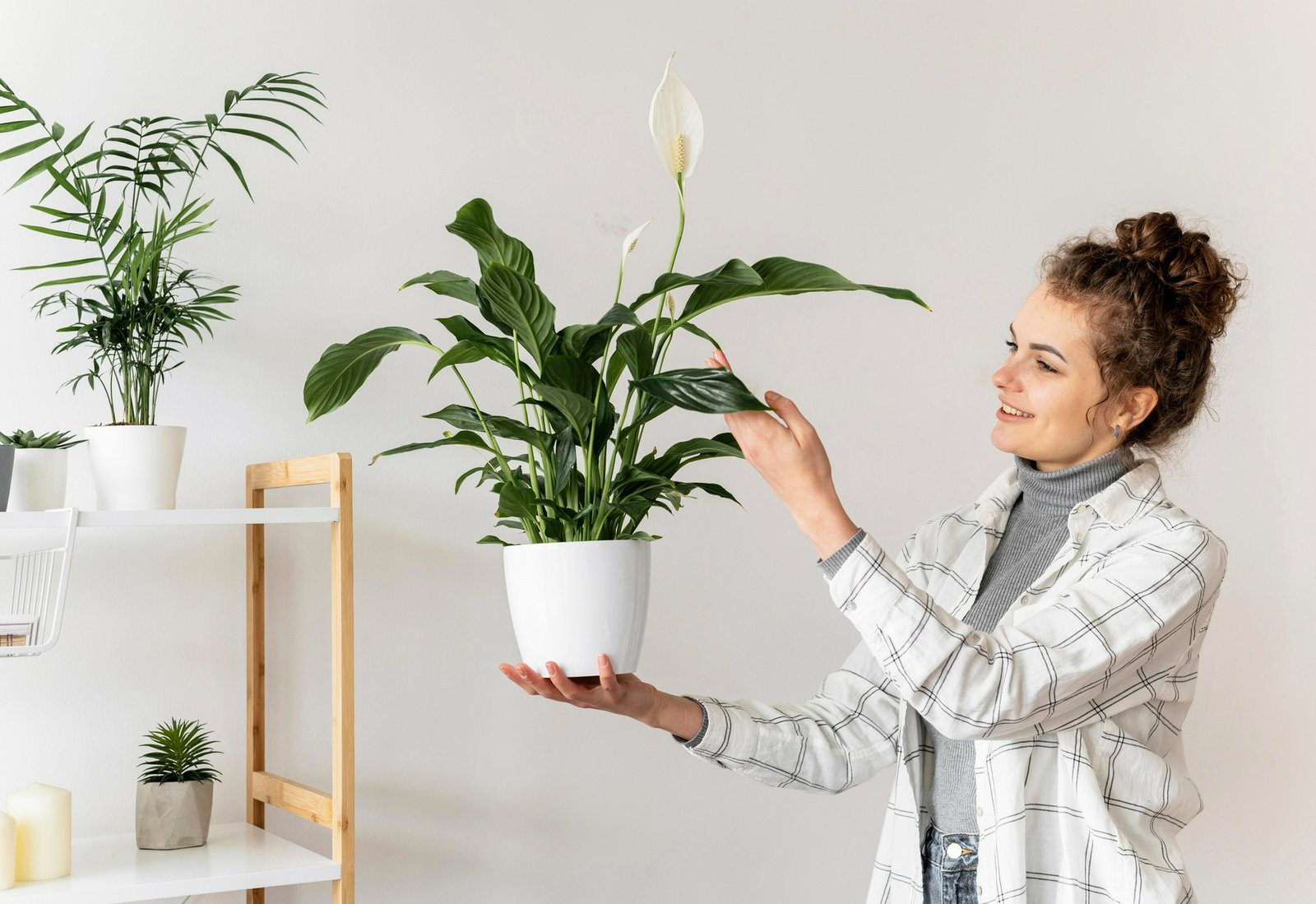 Add Indoor Plants for Freshness