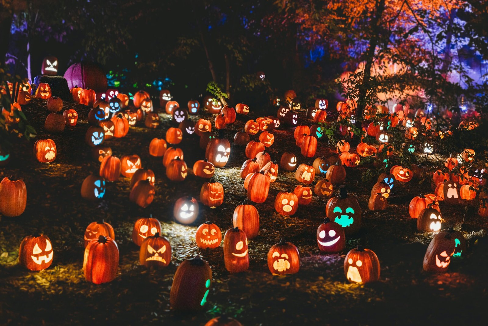  A-decorated-front-yard-with-pumpkins-and-lights